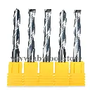 Two Flute Carbide Spiral Endmill
